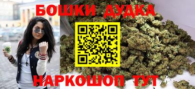 мдпв Будённовск