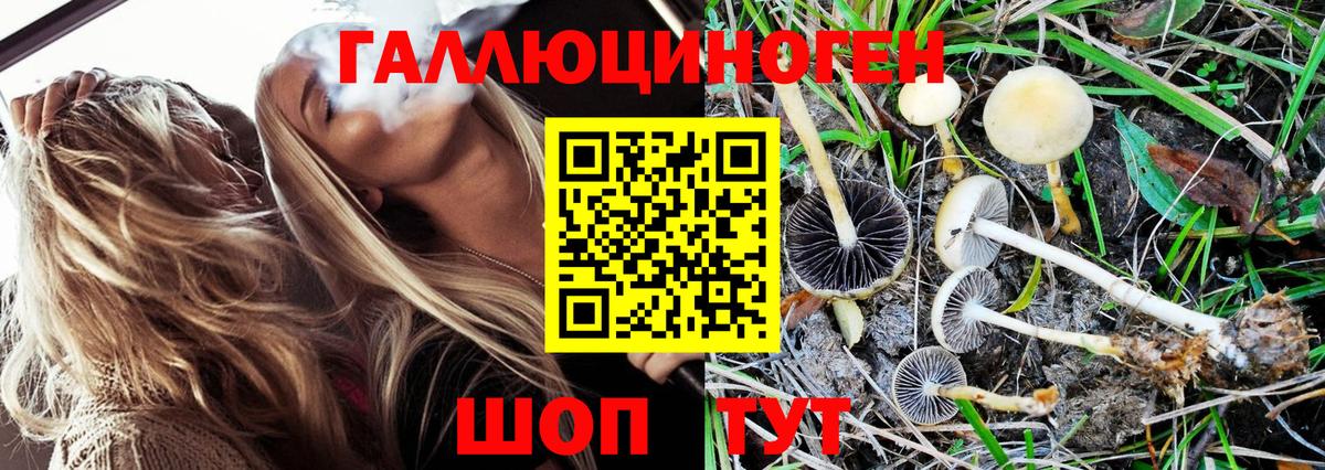 Отрадное  дарнет шоп  Вход с VPN  Галлюциногенные грибы Magic Shrooms 