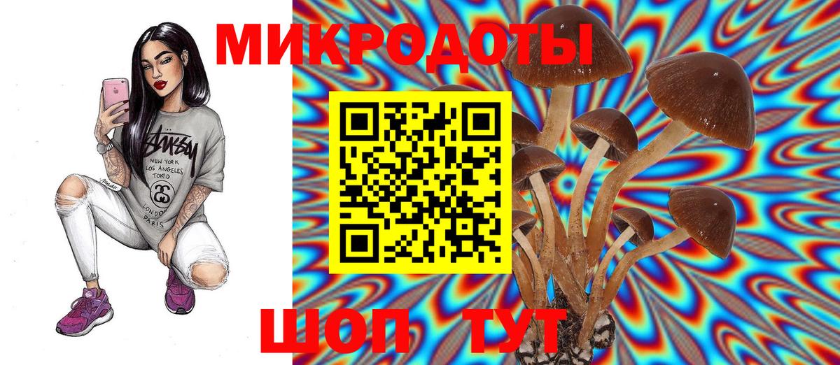 Галлюциногенные грибы ЛСД  Отрадное  Галлюциногенные грибы ЛСД 